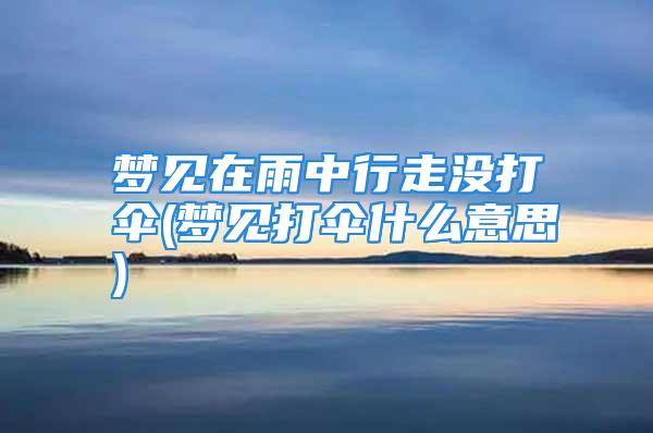 梦见在雨中行走没打伞(梦见打伞什么意思)