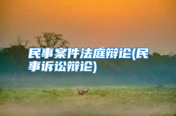 民事案件法庭辩论(民事诉讼辩论)