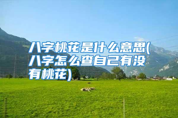 八字桃花是什么意思(八字怎么查自己有没有桃花)