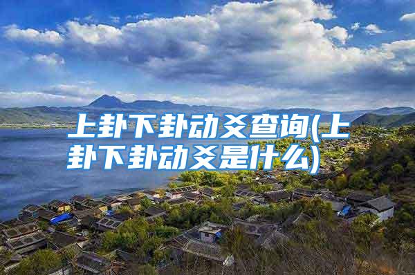 上卦下卦动爻查询(上卦下卦动爻是什么)