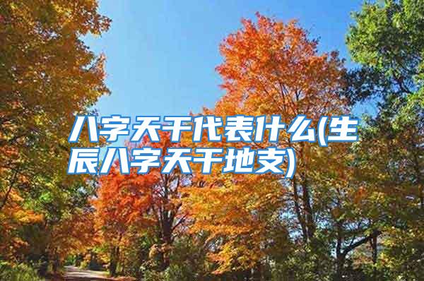 八字天干代表什么(生辰八字天干地支)
