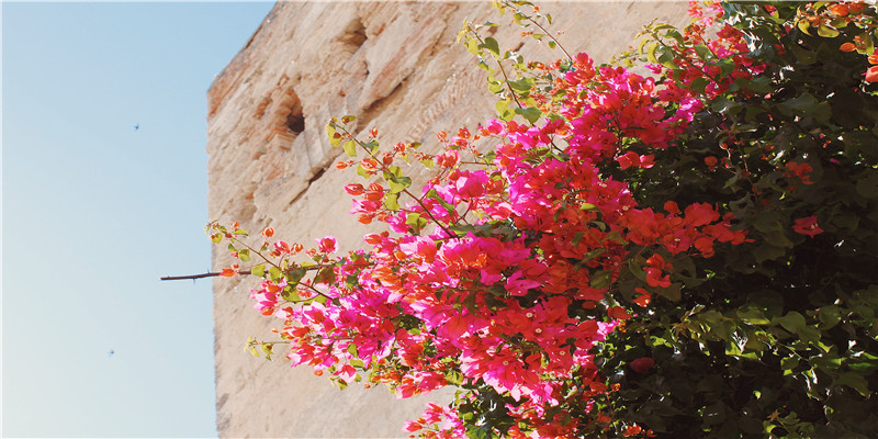 能一夜暴富的八字格局(突然暴富的八字特点)