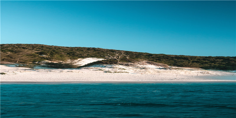 正财坐伤官(正财偏印伤官)