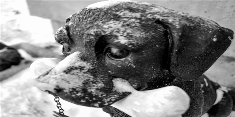 生辰八字算命看你是早婚晚婚(晚婚的八字有何特点)