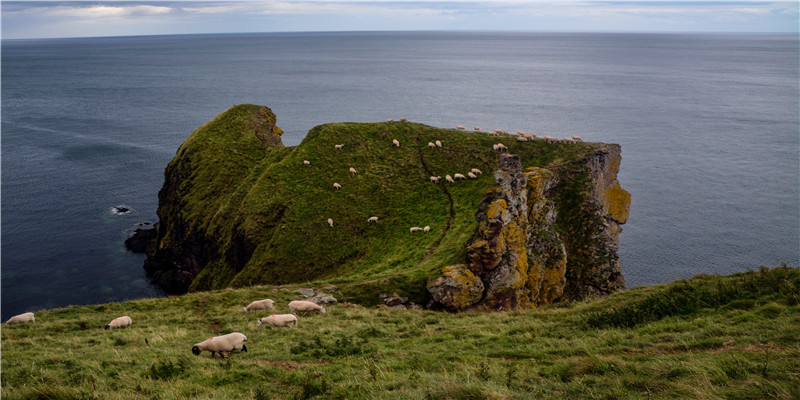 财位封闭是什么意思?(财位开门怎么化解)