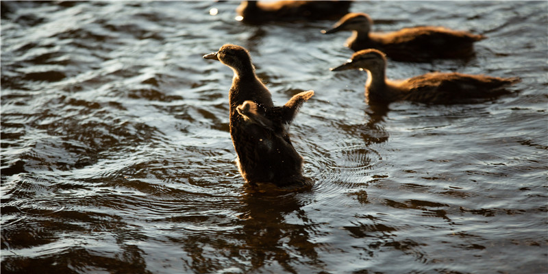 梦见口红断了什么意思(梦见红色口红)