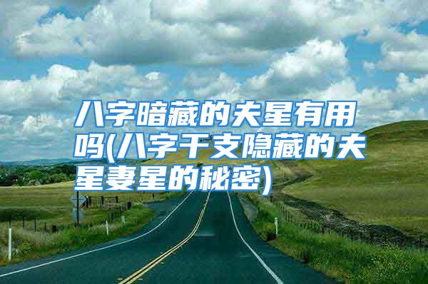 八字暗藏的夫星有用吗(八字干支隐藏的夫星妻星的秘密)