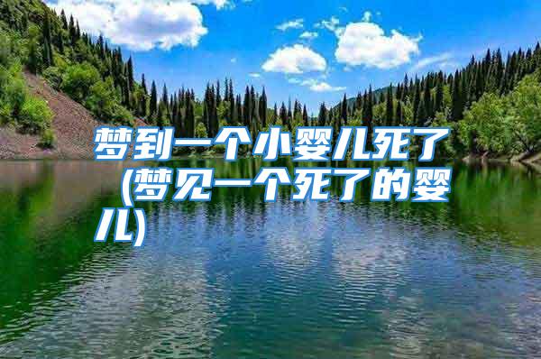 梦到一个小婴儿死了 (梦见一个死了的婴儿)