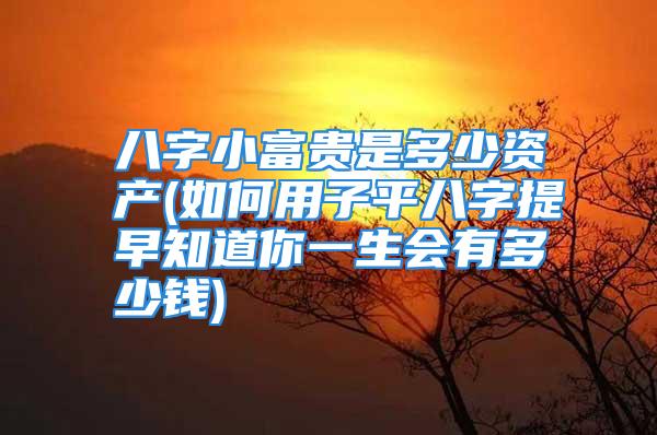 八字小富贵是多少资产(如何用子平八字提早知道你一生会有多少钱)