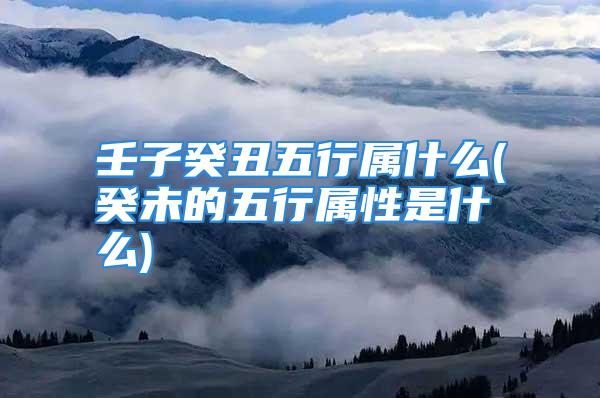 壬子癸丑五行属什么(癸未的五行属性是什么)