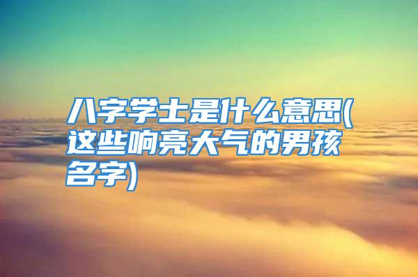八字学士是什么意思(这些响亮大气的男孩名字)