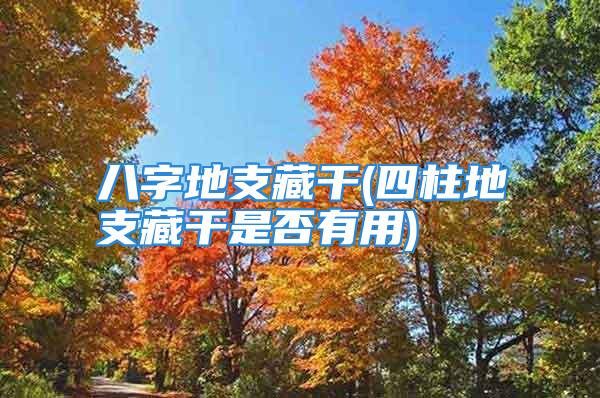 八字地支藏干(四柱地支藏干是否有用)