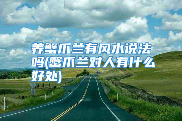 养蟹爪兰有风水说法吗(蟹爪兰对人有什么好处)