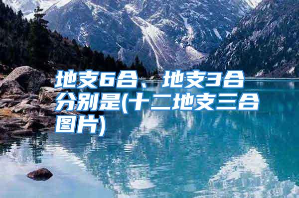 地支6合、地支3合分别是(十二地支三合图片)