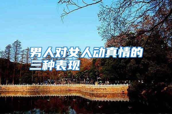 男人对女人动真情的三种表现