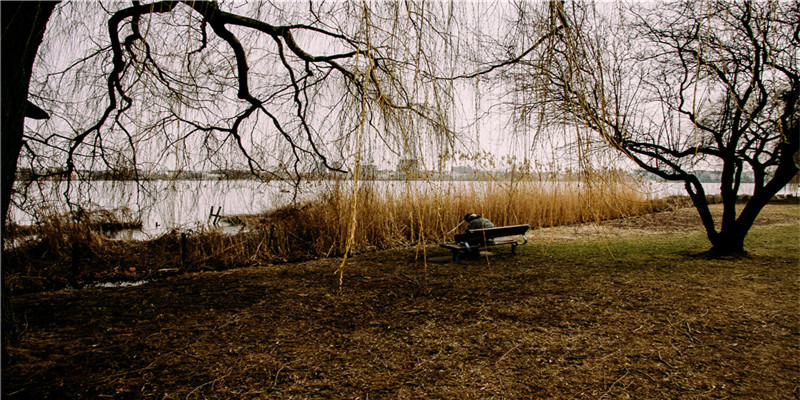 梦见妈妈掉水里我救她上来了(梦到水预示着什么意思)