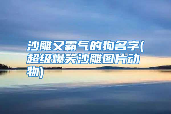 沙雕又霸气的狗名字(超级爆笑沙雕图片动物)