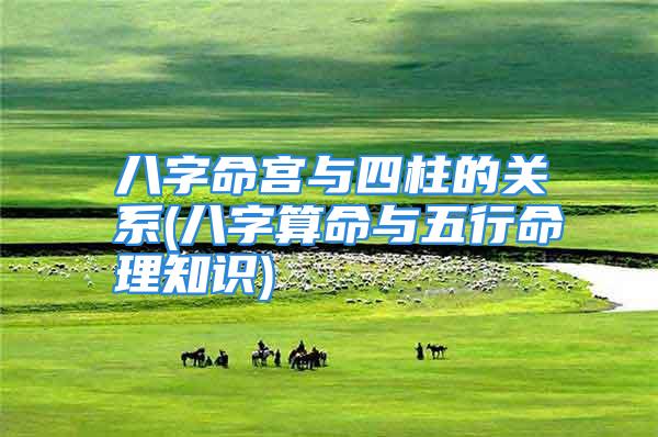 八字命宫与四柱的关系(八字算命与五行命理知识)