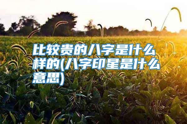 比较贵的八字是什么样的(八字印星是什么意思)
