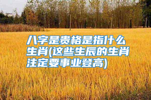 八字是贵格是指什么生肖(这些生辰的生肖注定要事业登高)