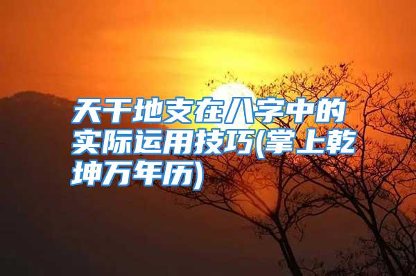 天干地支在八字中的实际运用技巧(掌上乾坤万年历)