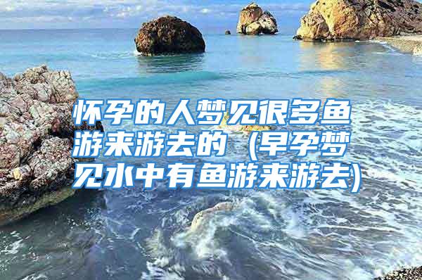怀孕的人梦见很多鱼游来游去的 (早孕梦见水中有鱼游来游去)