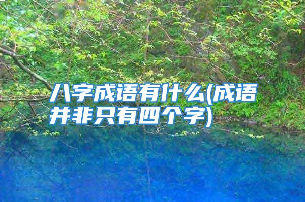 八字成语有什么(成语并非只有四个字)