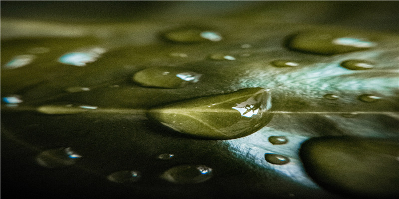 梦见坚果(梦到吃坚果是什么意思)