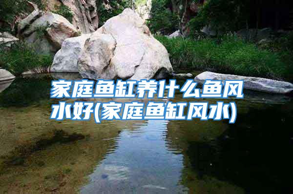 家庭鱼缸养什么鱼风水好(家庭鱼缸风水)