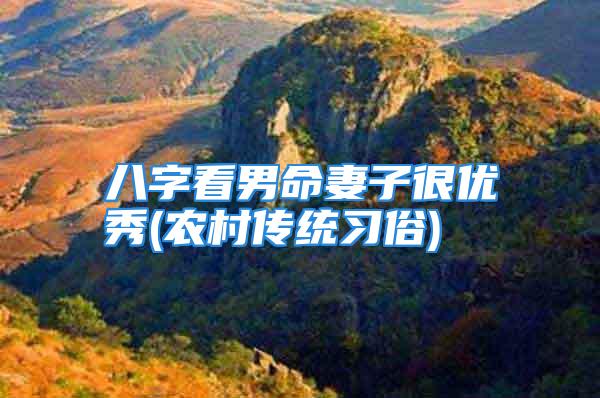 八字看男命妻子很优秀(农村传统习俗)