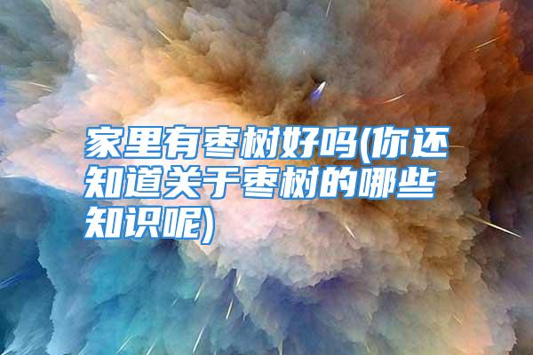 家里有枣树好吗(你还知道关于枣树的哪些知识呢)