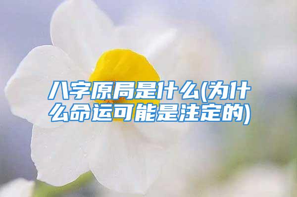 八字原局是什么(为什么命运可能是注定的)