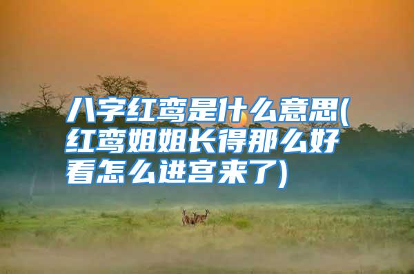 八字红鸾是什么意思(红鸾姐姐长得那么好看怎么进宫来了)