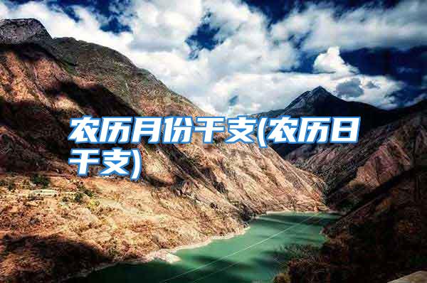 农历月份干支(农历日干支)