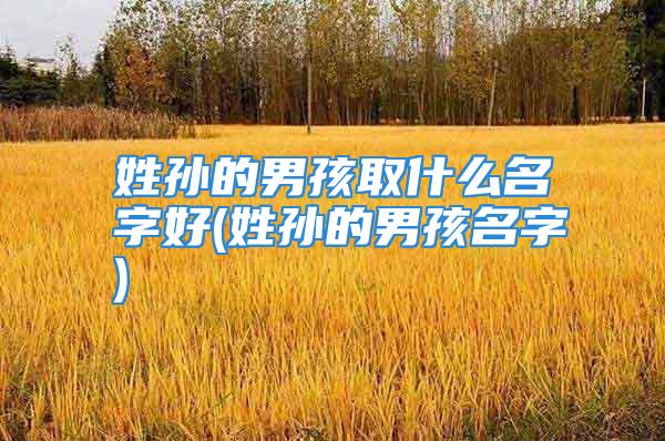 姓孙的男孩取什么名字好(姓孙的男孩名字)