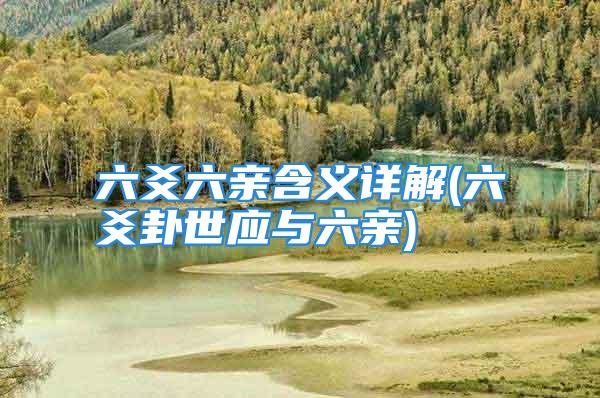 六爻六亲含义详解(六爻卦世应与六亲)