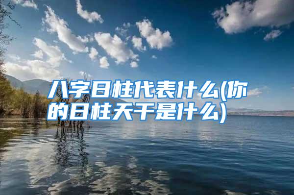 八字日柱代表什么(你的日柱天干是什么)