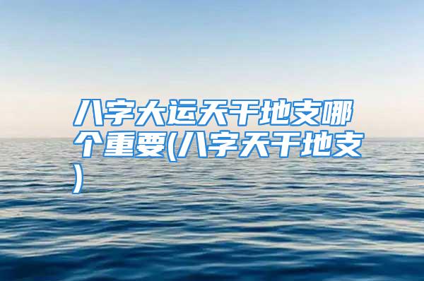 八字大运天干地支哪个重要(八字天干地支)