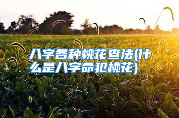 八字各种桃花查法(什么是八字命犯桃花)