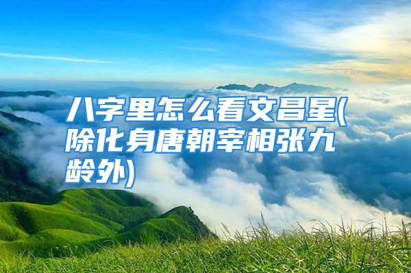 八字里怎么看文昌星(除化身唐朝宰相张九龄外)