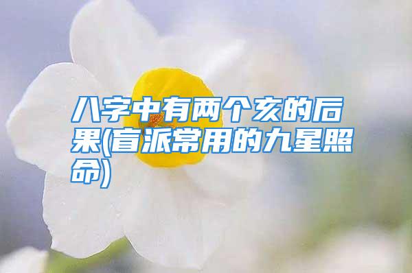 八字中有两个亥的后果(盲派常用的九星照命)