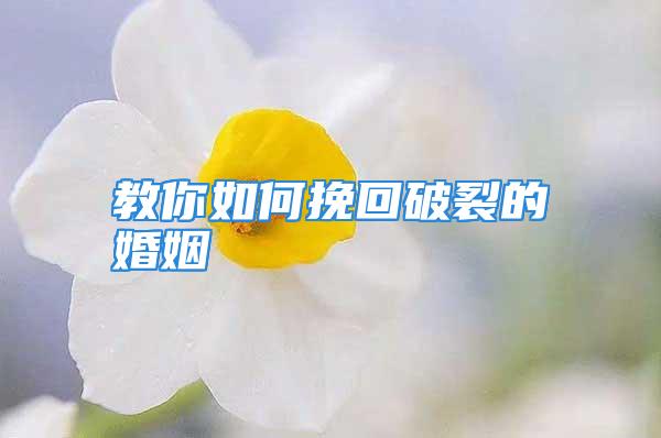 教你如何挽回破裂的婚姻