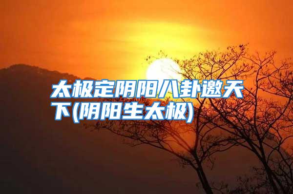 太极定阴阳八卦邀天下(阴阳生太极)