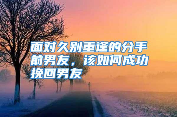 面对久别重逢的分手前男友,该如何成功挽回男友