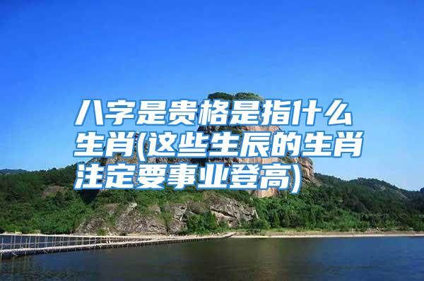 八字是贵格是指什么生肖(这些生辰的生肖注定要事业登高)
