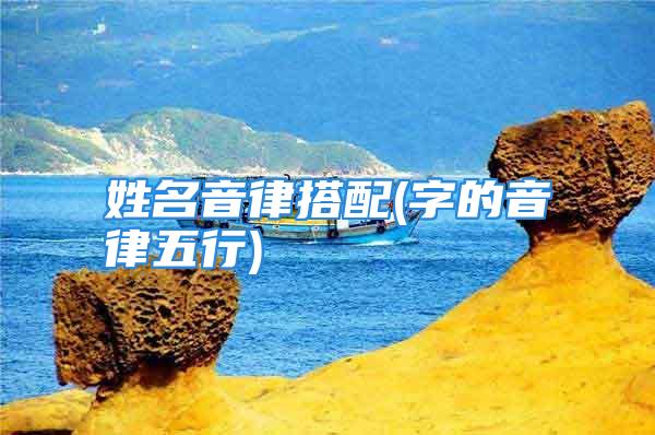 姓名音律搭配(字的音律五行)