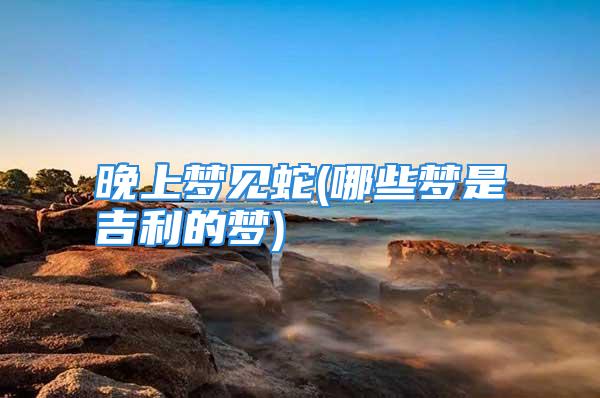 晚上梦见蛇(哪些梦是吉利的梦)