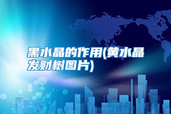 黑水晶的作用(黄水晶发财树图片)