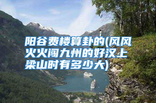 阳谷费楼算卦的(风风火火闯九州的好汉上梁山时有多少大)