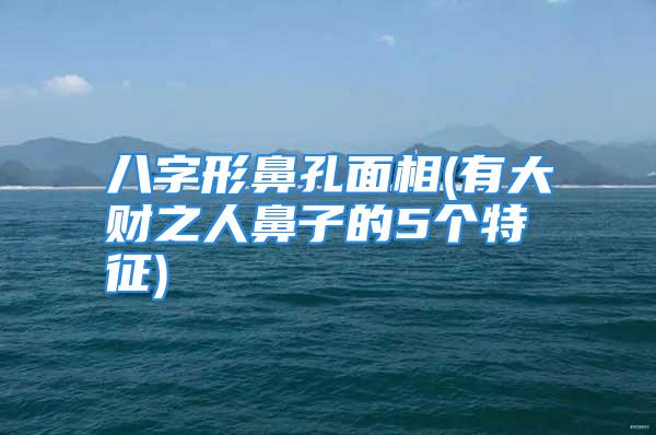 八字形鼻孔面相(有大财之人鼻子的5个特征)